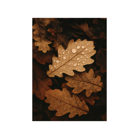 Autumn Leaves