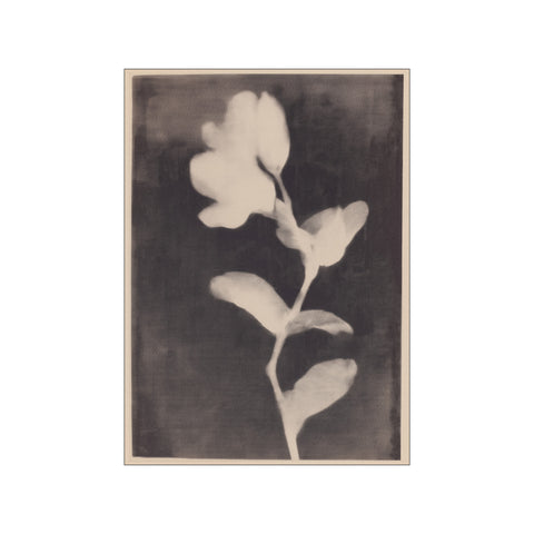 Fadedbloom — Art print by Treechild from Poster & Frame