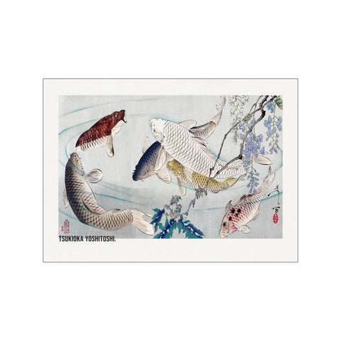 Six Carp Swimming Beneath Wisteria (1889)
