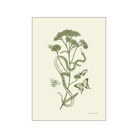 Yarrow — Art print by Laura Thomsen from Poster & Frame