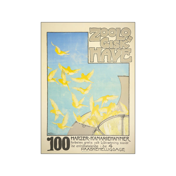 100 Harzer-Kanariehanner — Art print by Zoologisk Have from Poster & Frame
