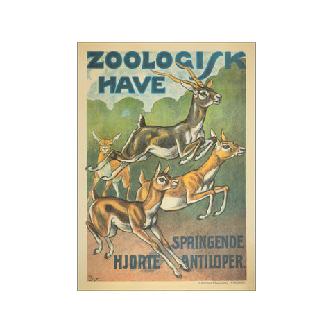 Hjorte & Springene Antiloper — Art print by Zoologisk Have from Poster & Frame