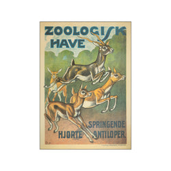 Hjorte & Springene Antiloper — Art print by Zoologisk Have from Poster & Frame