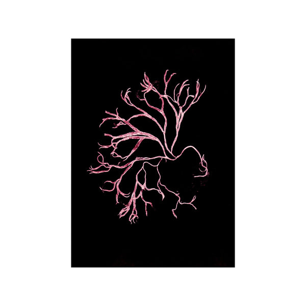 Algae Pink — Art print by Pernille Folcarelli from Poster & Frame