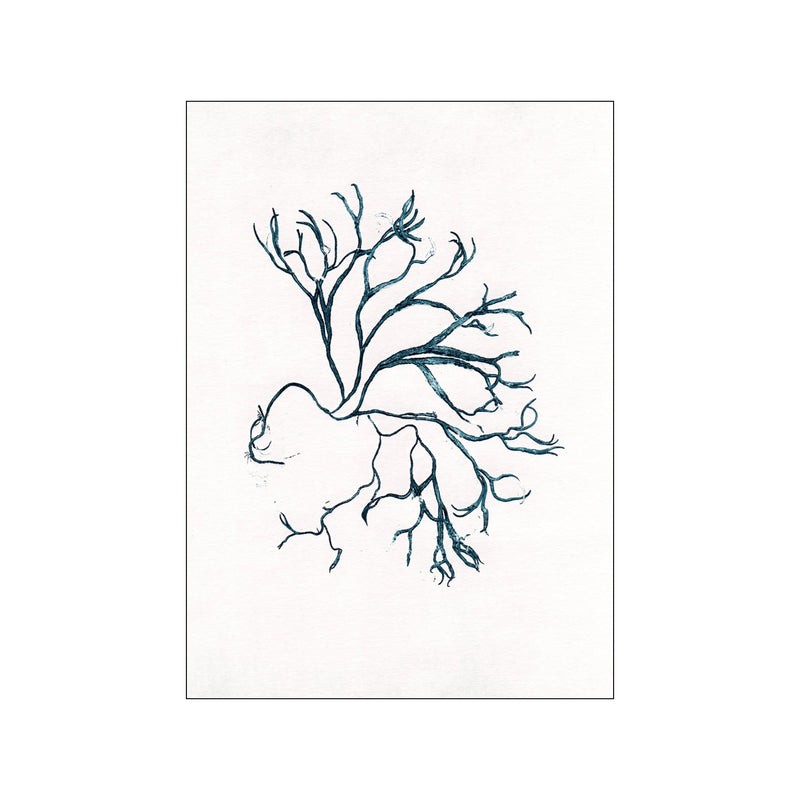 Algae Seablue — Art print by Pernille Folcarelli from Poster & Frame