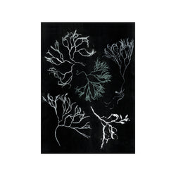 Algae Seagreen — Art print by Pernille Folcarelli from Poster & Frame