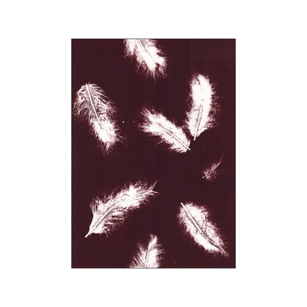 Feather Dark Rosewood — Art print by Pernille Folcarelli from Poster & Frame