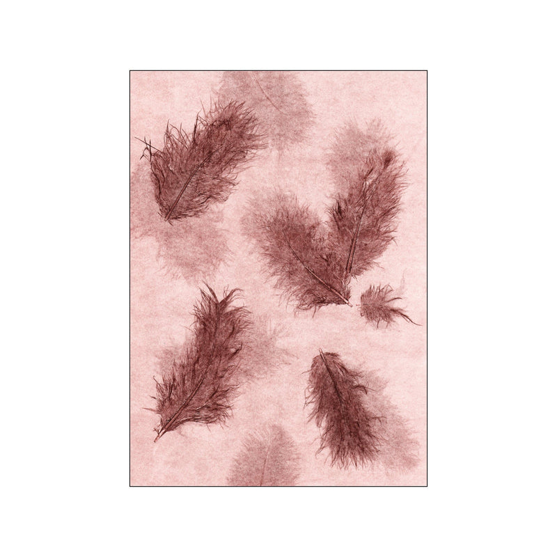 Feather Rosewood — Art print by Pernille Folcarelli from Poster & Frame