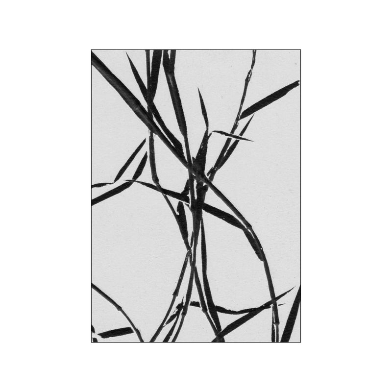 Grass Detail White — Art print by Pernille Folcarelli from Poster & Frame