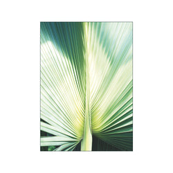 Palm — Art print by Enklamide from Poster & Frame