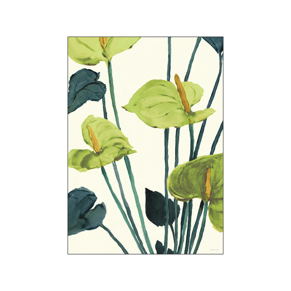 Anthurium Green — Art print by Dorthe Svarrer from Poster & Frame