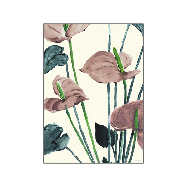Anthurium Pink — Art print by Dorthe Svarrer from Poster & Frame