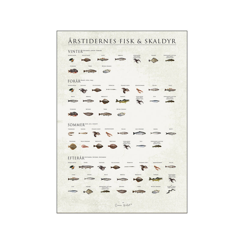 Årstidernes fisk og skaldyr — Papir — Art print by Simon Holst from Poster & Frame