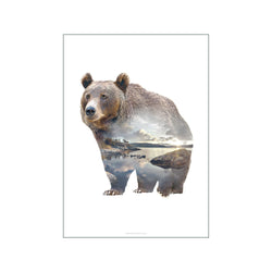 Bear — Art print by Faunascapes from Poster & Frame
