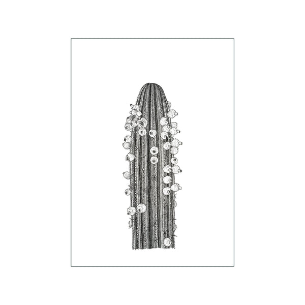 Big cactus — Art print by Maya Gürtler from Poster & Frame