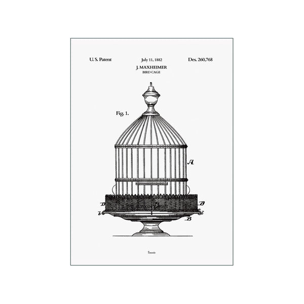 Bird Case — Art print by Bomedo from Poster & Frame