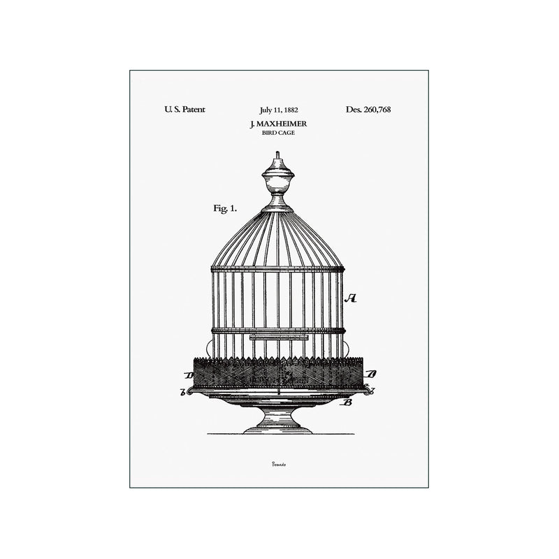 Bird Case — Art print by Bomedo from Poster & Frame