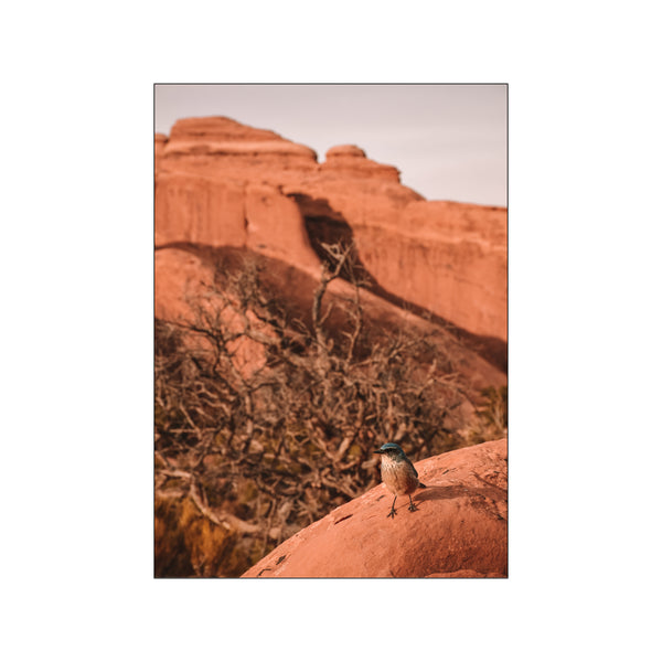 Bird of the Canyonlands National Park - USA — Art print by Nordd Studio from Poster & Frame