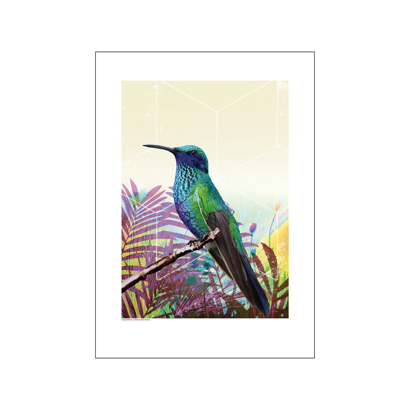 Bird - Grøn/Blå — Art print by GraphicARTcph from Poster & Frame