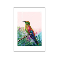 Bird - Grøn/Pink — Art print by GraphicARTcph from Poster & Frame