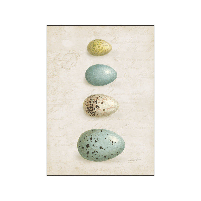 Bird Eggs II — Art print by Wild Apple from Poster & Frame
