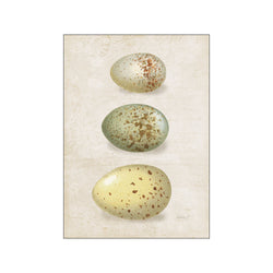 Bird Eggs I — Art print by Wild Apple from Poster & Frame