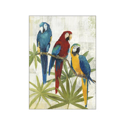 Birds of Feather II — Art print by Wild Apple from Poster & Frame