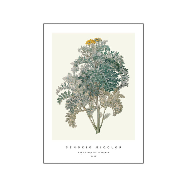 Botanic III — Art print by PSTR Studio from Poster & Frame