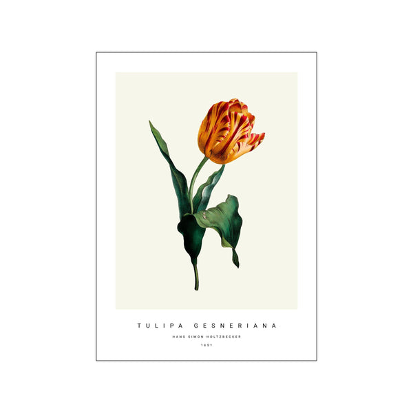 Botanic IV — Art print by PSTR Studio from Poster & Frame