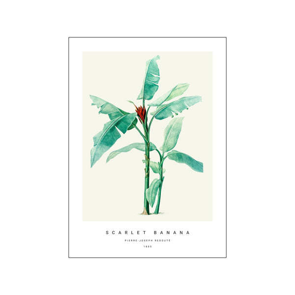 Botanic VI — Art print by PSTR Studio from Poster & Frame
