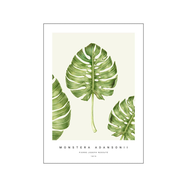 Botanic V — Art print by PSTR Studio from Poster & Frame
