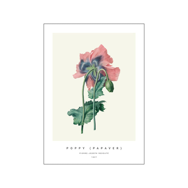 Botanic VIII — Art print by PSTR Studio from Poster & Frame