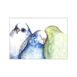 Budgies — Art print by Ida Noack from Poster & Frame