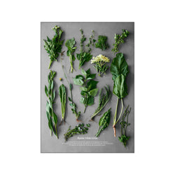 Byens vilde urter — Art print by Planetarisk Kogebog from Poster & Frame