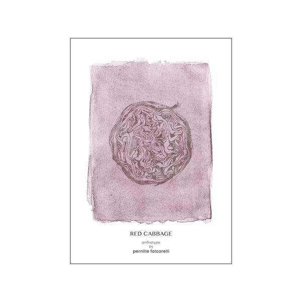 Cabbage violet — Art print by Pernille Folcarelli from Poster & Frame