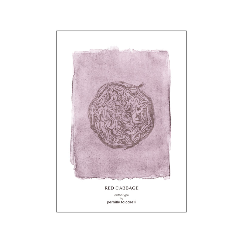 Cabbage violet — Art print by Pernille Folcarelli from Poster & Frame
