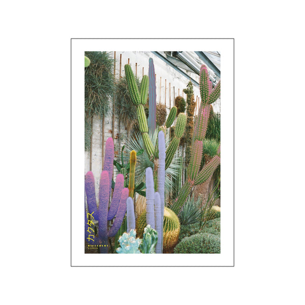Cactus — Art print by Different Studio from Poster & Frame