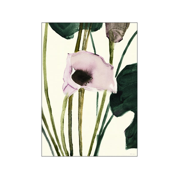 Calla — Art print by Dorthe Svarrer from Poster & Frame