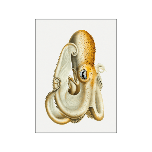 Octopus l — Art print by Carl Chun from Poster & Frame