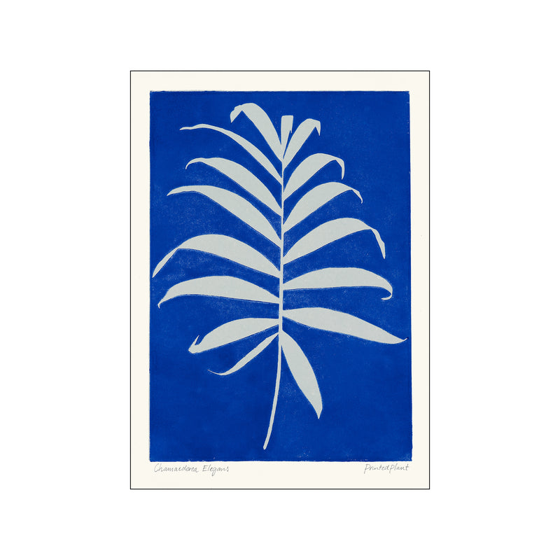 Printed Plant - Chamaedorea — Art print by PSTR Studio from Poster & Frame