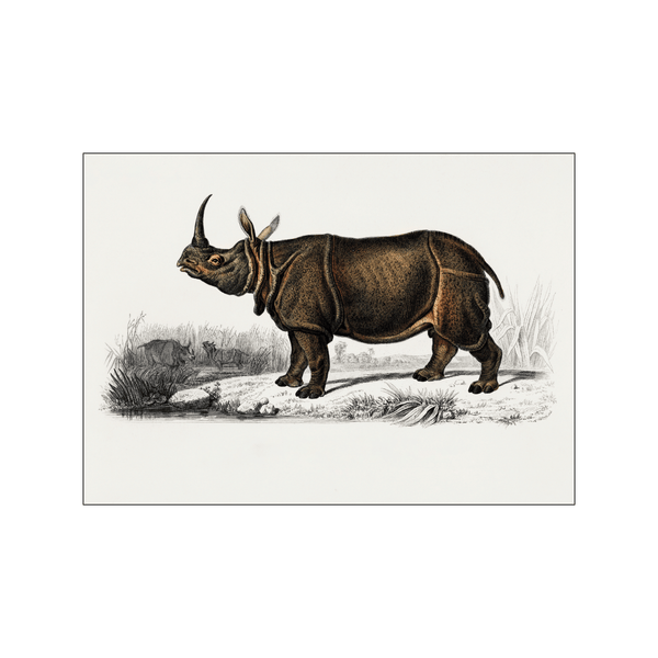 Indian Rhinoceros — Art print by Charles Dessalines D' Orbigny from Poster & Frame