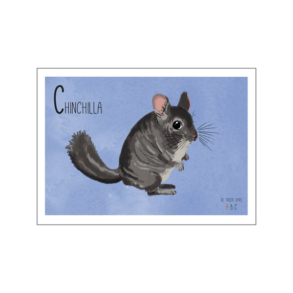 Chinchilla — Art print by Line Malling Schmidt from Poster & Frame
