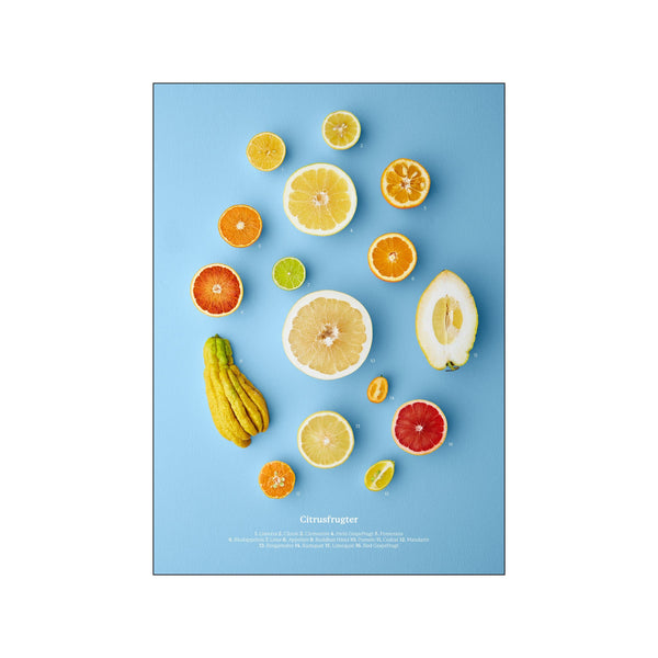 Citrusfrugter — Art print by Planetarisk Kogebog from Poster & Frame