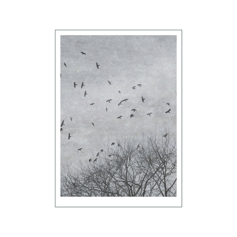 Crows — Art print by Ingrey Studio from Poster & Frame
