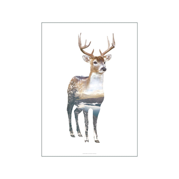Deer — Art print by Faunascapes from Poster & Frame