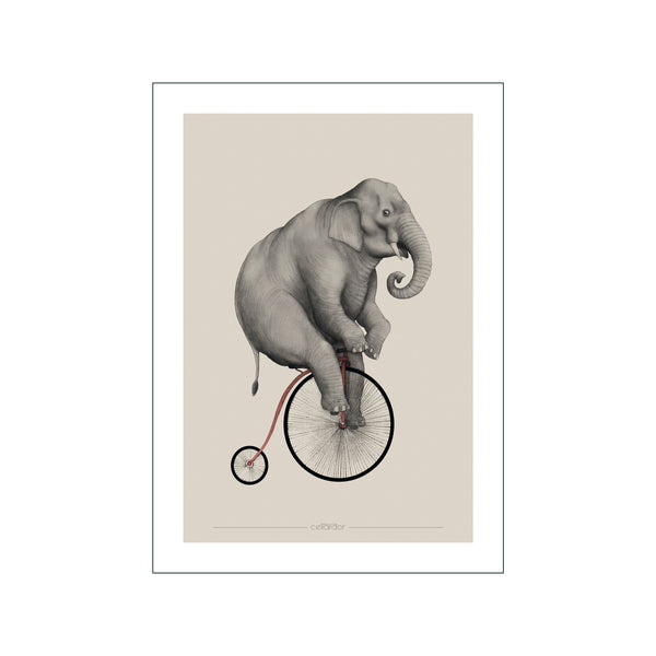 Elephant Riding — Art print by Cellard'or from Poster & Frame