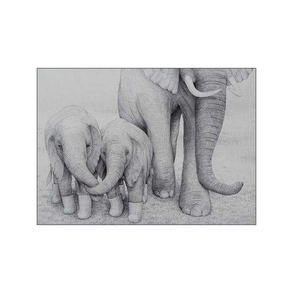 Elephant siblings — Art print by Morten Løfberg from Poster & Frame