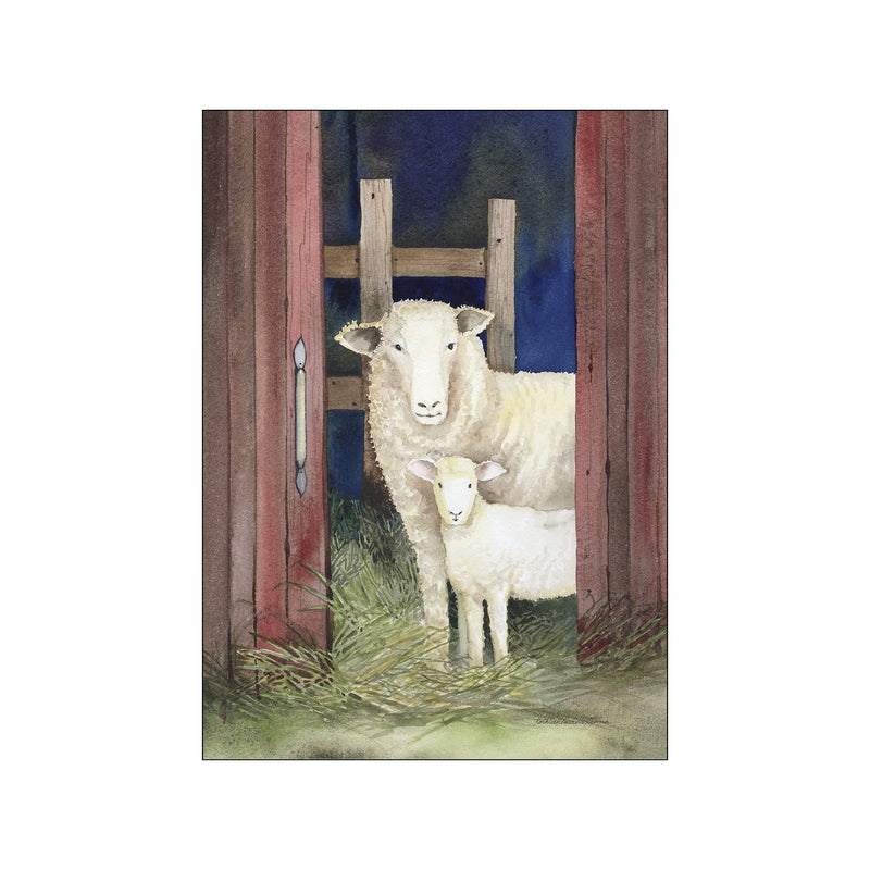 Farm Family Sheep — Art print by Wild Apple from Poster & Frame