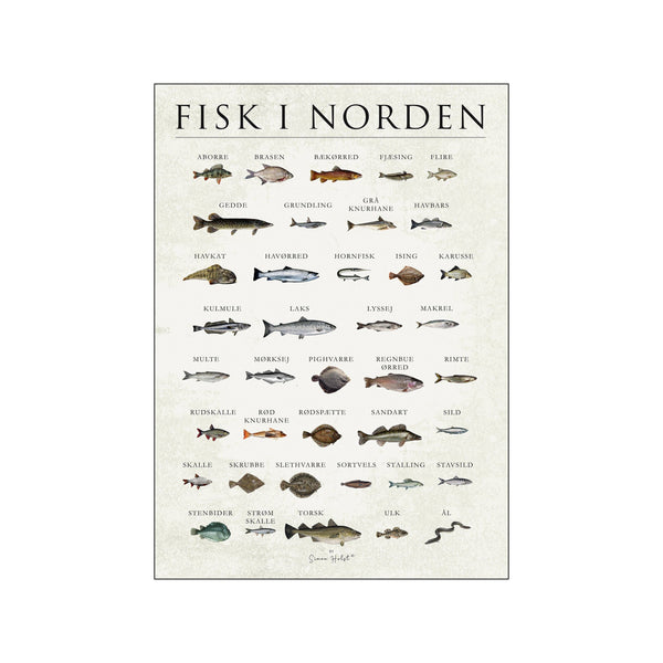 Fisk i norden — Art print by Simon Holst from Poster & Frame