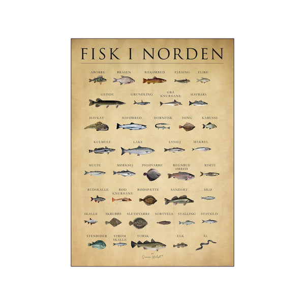 Fisk i norden, papir — Art print by Simon Holst from Poster & Frame